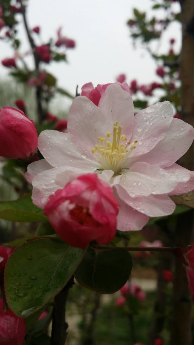 園區(qū)景觀(guān)